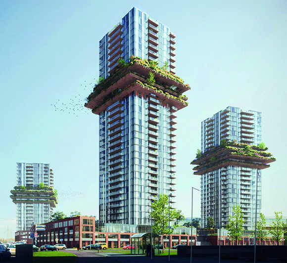 The Flower Towers